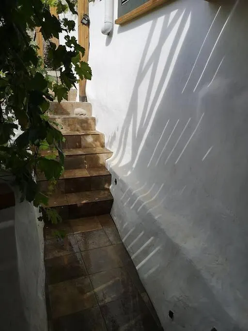 Apartamento Souterrain Fuer Max 2 P., Bad, Aussenkueche, Garten Güimar Espanha